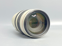 Canon EF 100-400mm f/4.5-5.6L IS USM с дефектом
