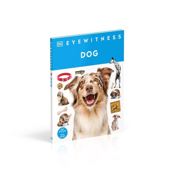 Eyewitness Dog