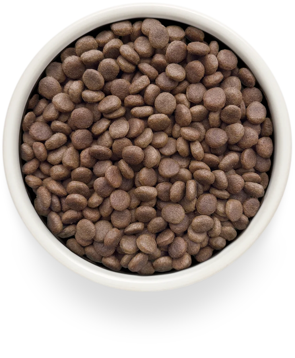 Сухой корм GRANDORF VETERINARY DIET Dog DERMATOSIS Полнорационный диетический корм для собак с заболеваниями кожи, лосось 1кг