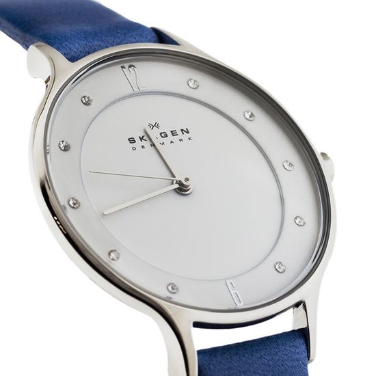Наручные часы Skagen SKW2173