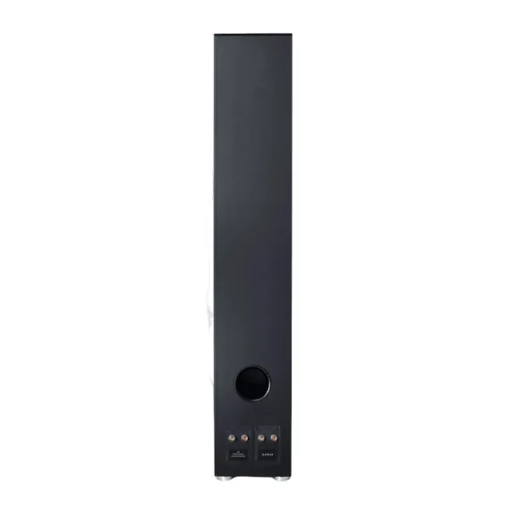 Canton GLE 90 AR S2 Black