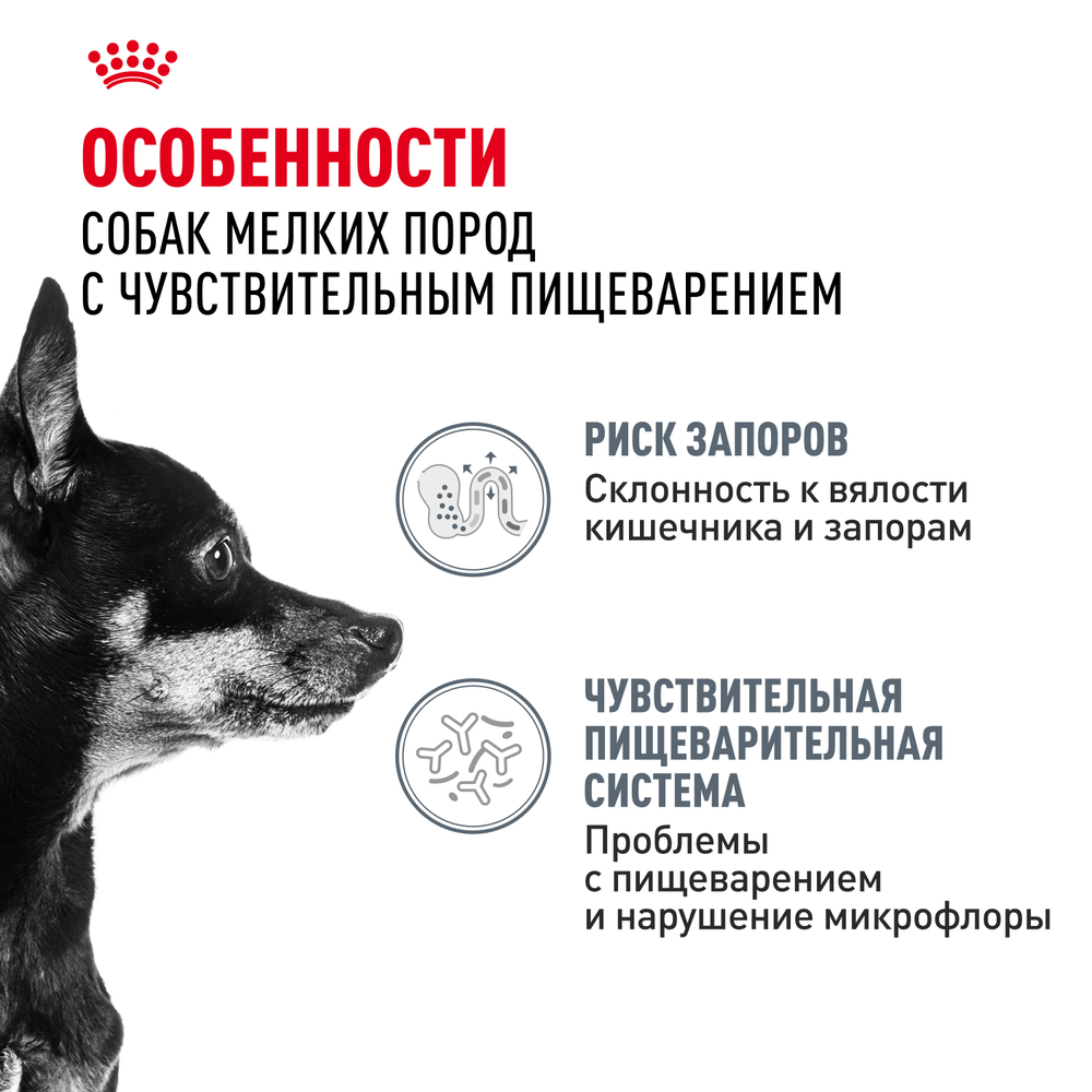 Royal Canin Mini Digestive Care Мини Дайджестив кэа Корм сухой для взрослых собак мелких пород с чувствительным пищеварением 3кг