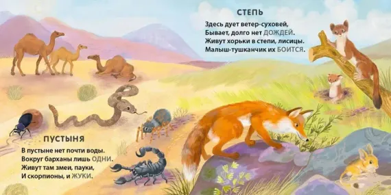 Книжки - картонки. Загадки - рифмы. Кто где живет