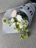 Кулек сборный из хризантемы, хелеборуса, скабиозы и диантусов