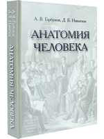 Анатомия человека