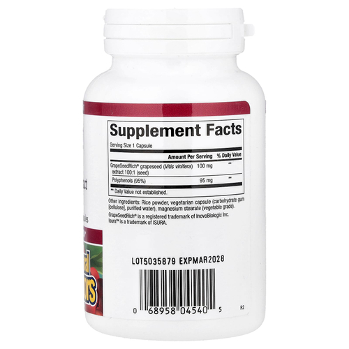 Natural Factors, GrapeSeedRich®, экстракт виноградных косточек, 100 мг, 120 вегетарианских капсул