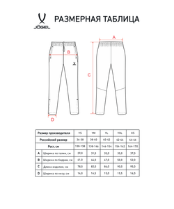 Брюки спортивные CAMP 2 Lined Pants, темно-синий, детский