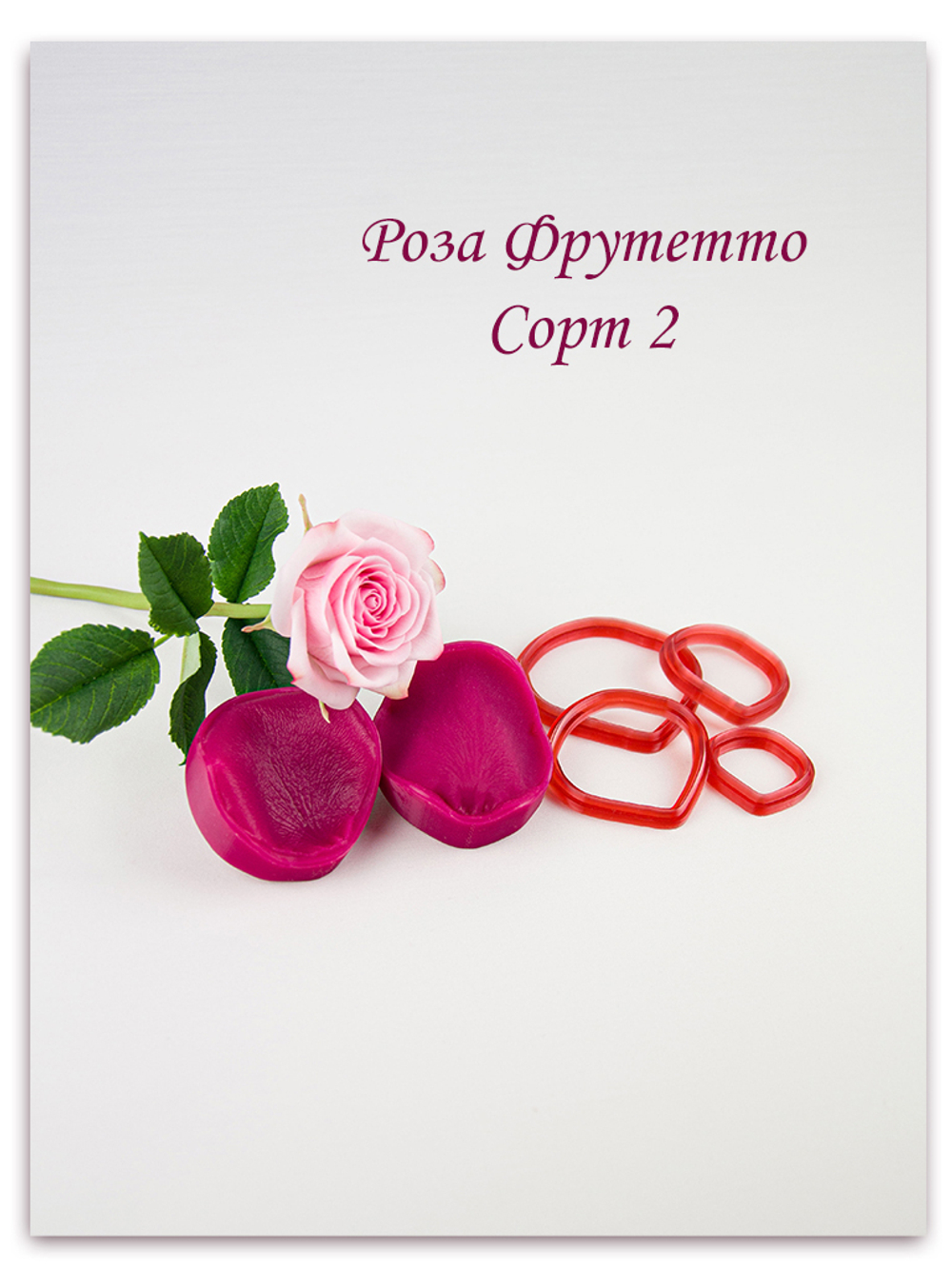 Лепесток розы Фрутетто. Набор 2