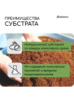 Кокосовый субстрат для растений 65л