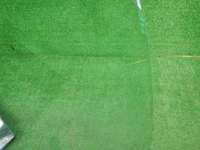DSCN5664.JPG