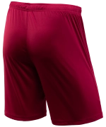 Шорты игровые CAMP Classic Shorts, гранатовый/белый