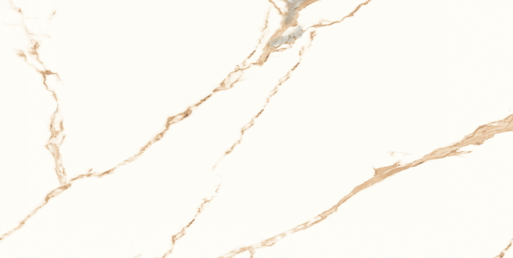 Neodom Sale Statuario Gold Fusion 60x120