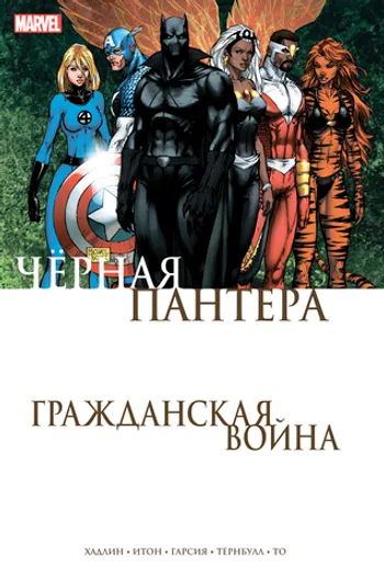 Гражданская война. Чёрная Пантера