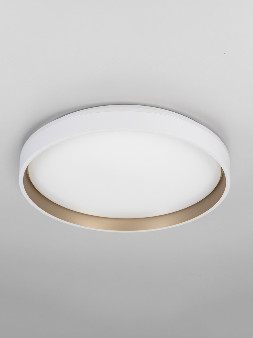Потолочный светодиодный светильник Citilux Enzo CL753450G