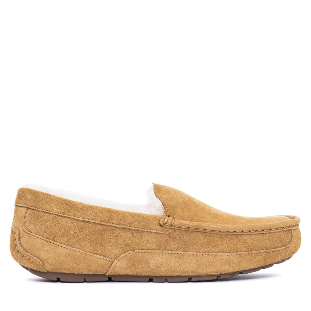 UGG Mens Ascot Chestnut