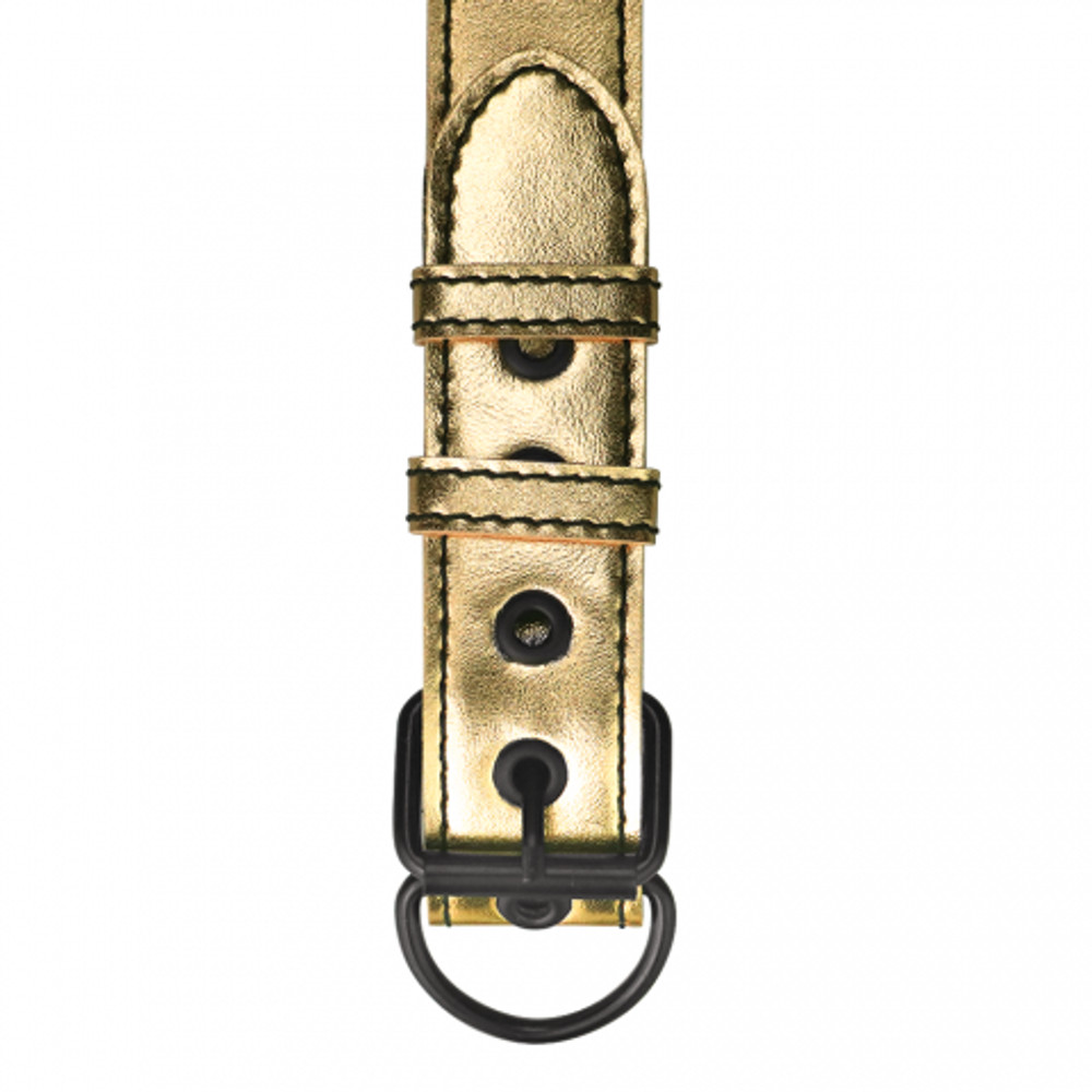 Ошейник с поводком Bondage Fetish Gold