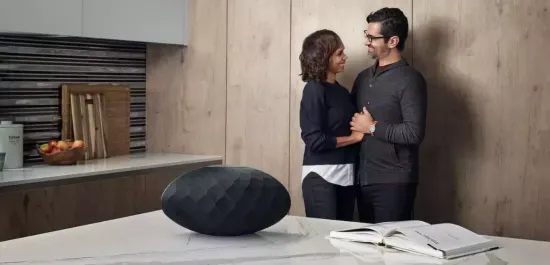 Беспроводная акустика Bowers & Wilkins Formation Wedge Silver