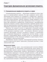 Функциональная морфология плаценты человекав норме и при патологии (нейроиммуноэндокринологические аспекты)