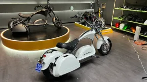Боковые кофры для моделей M1/ M2/ M8/ M8S/ M1PS (ПОД ЗАКАЗ)