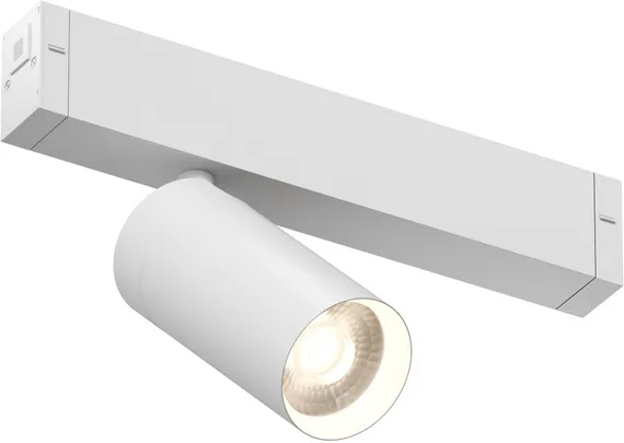 Трековый светильник SMART SPOT | СМАРТ СПОТ DK8010-WH Denkirs