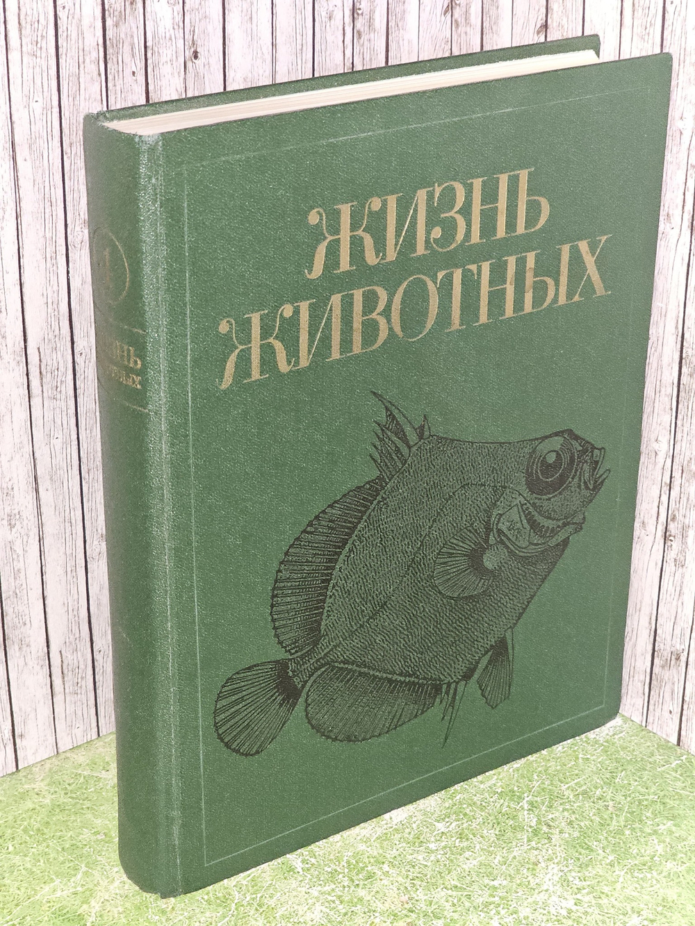 Жизнь животных в 7 томах. Том 4. Ланцетники. Круглоротые. Хрящевые рыбы. Костные рыбы