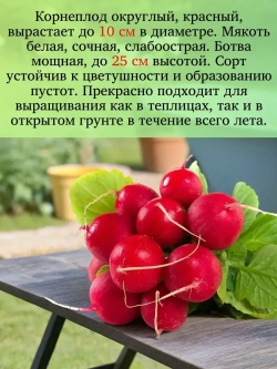 Семена Редиса Набор 20 гр
