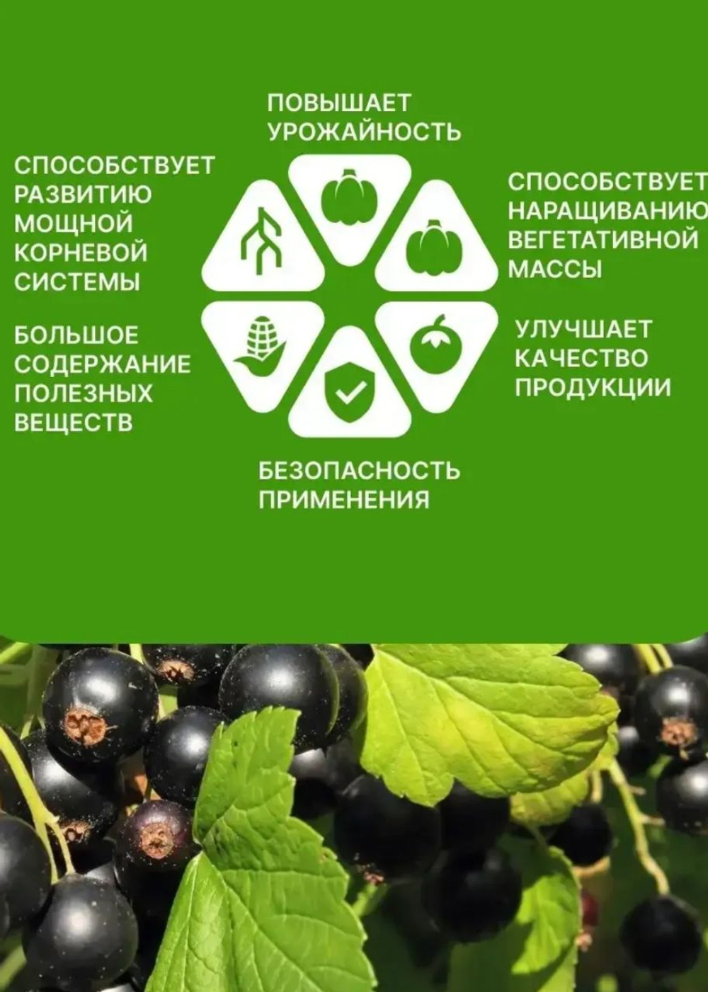 Минеральное удобрение Сульфат магния, 1кг
