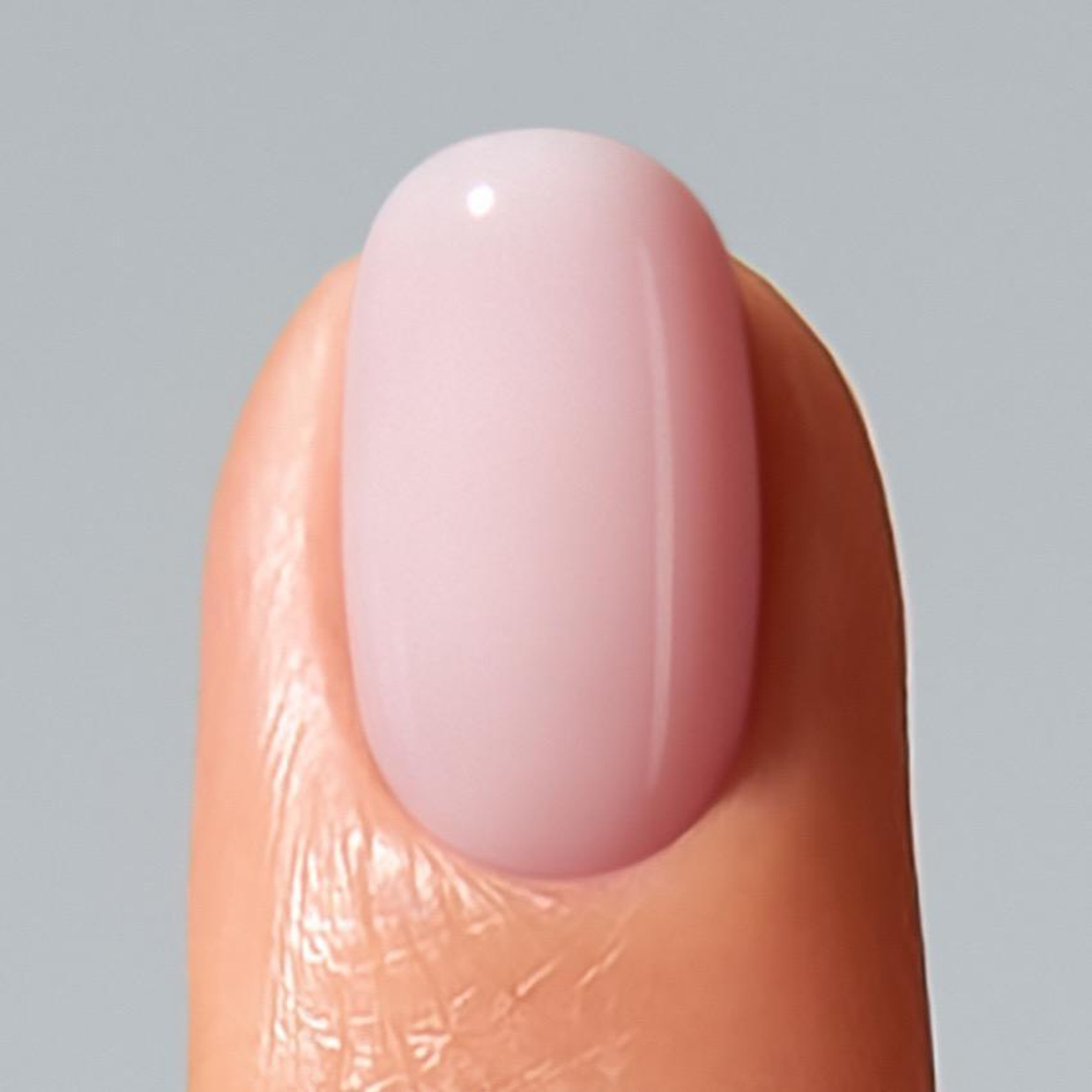 Color Gel Disguise Collection D