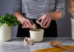 Емкость для чеснока с теркой innovative kitchen