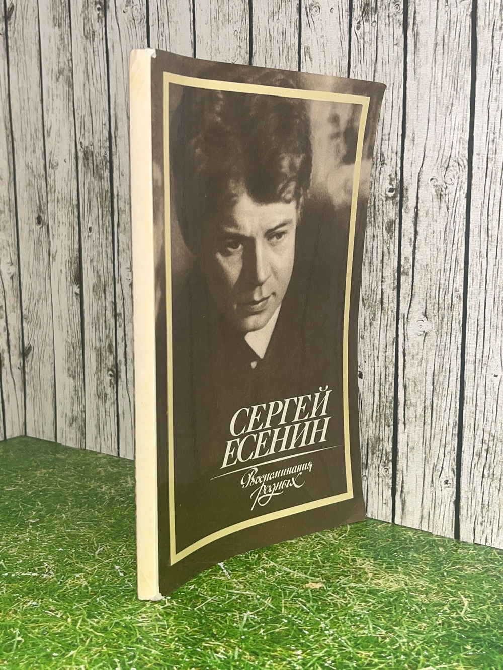 Сергей Есенин. Воспоминания родных