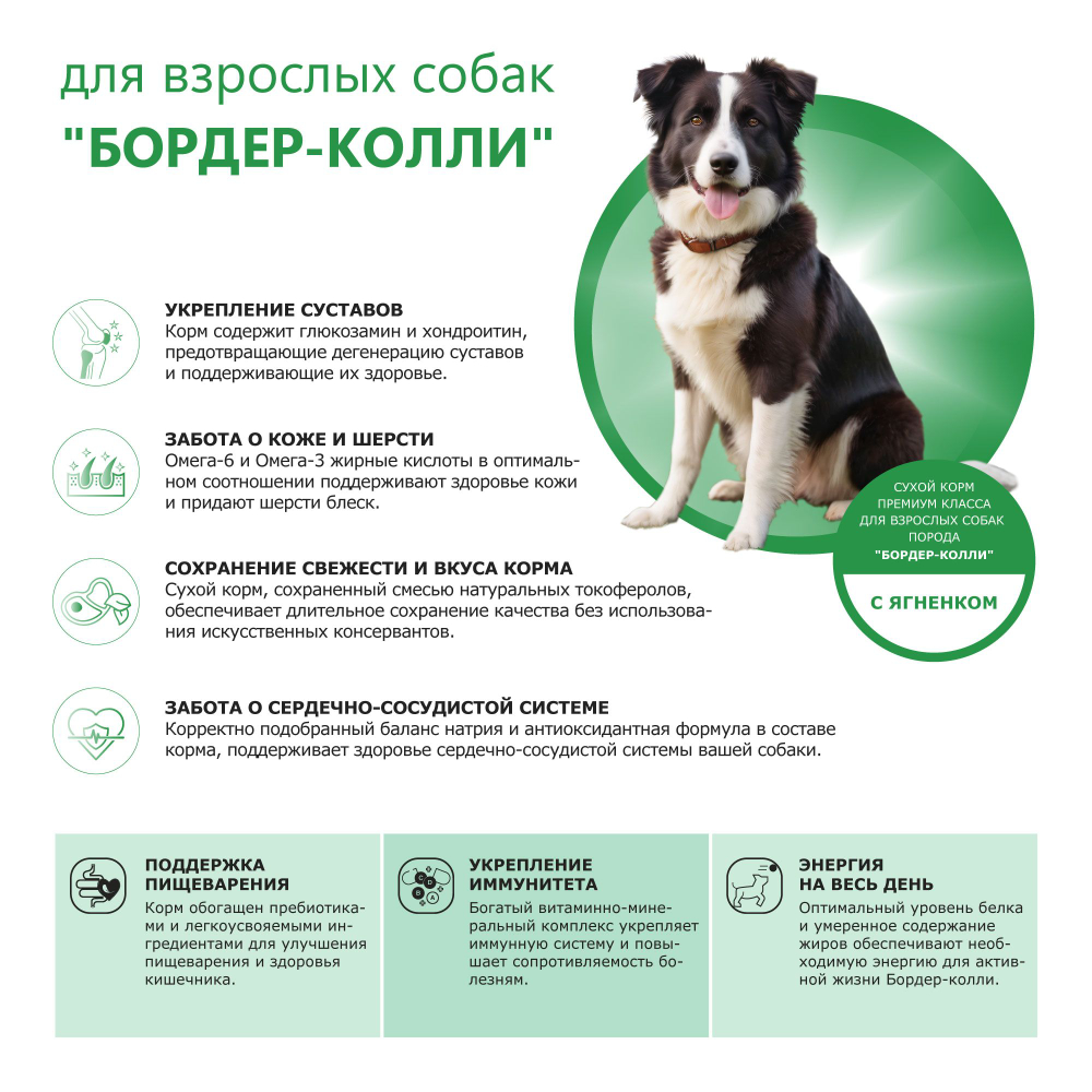 Корм сухой для взрослых собак породы Бордер-колли, с ягненком, 12 кг, QUATTRO