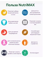 NutriMAX Жиросжигающий протеиновый коктейль (15 саше)