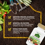 NaturesPlus, Source of Life® Garden, добавка для поддержки костей, 120 веганских капсул