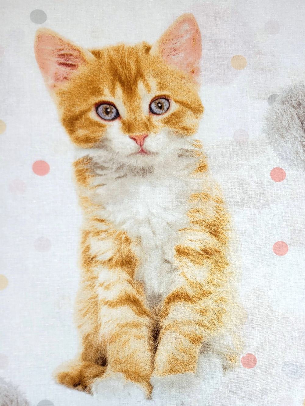 1м. Ткань для детского постельного белья, "Рыжие котята",шир. 150см, хлопок 100%, плотн. 102, отрез 1.5х1 метра