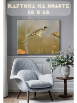 Картина на стену 40 X 50 Птица
