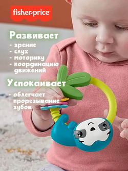 Интерактивная игрушка Fisher-Price Hold & Jingle Activity Toys Ленивец