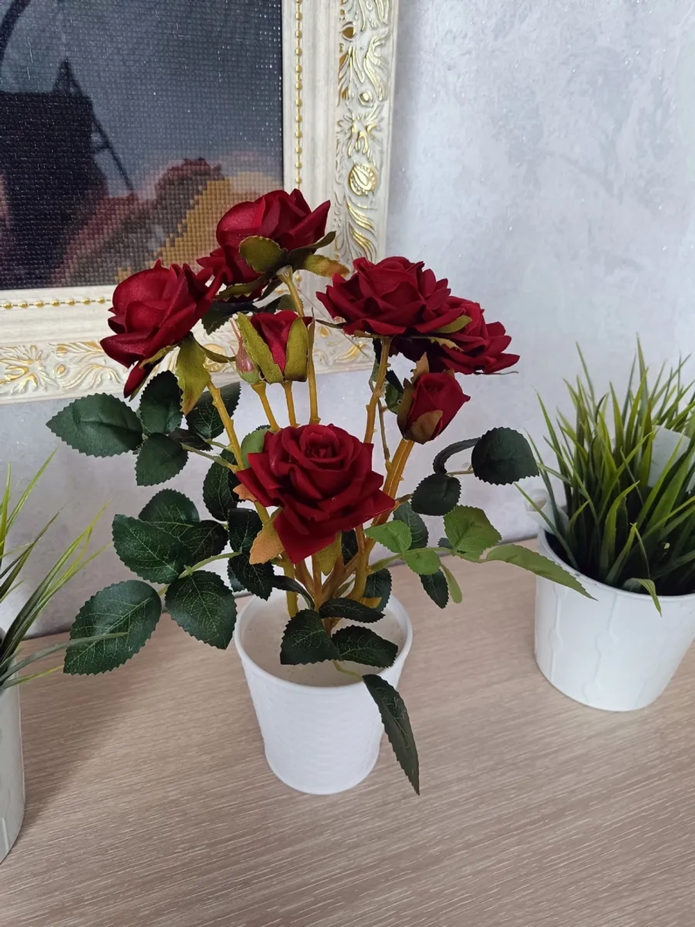 Роза кустовая бархатная, в кашпо.