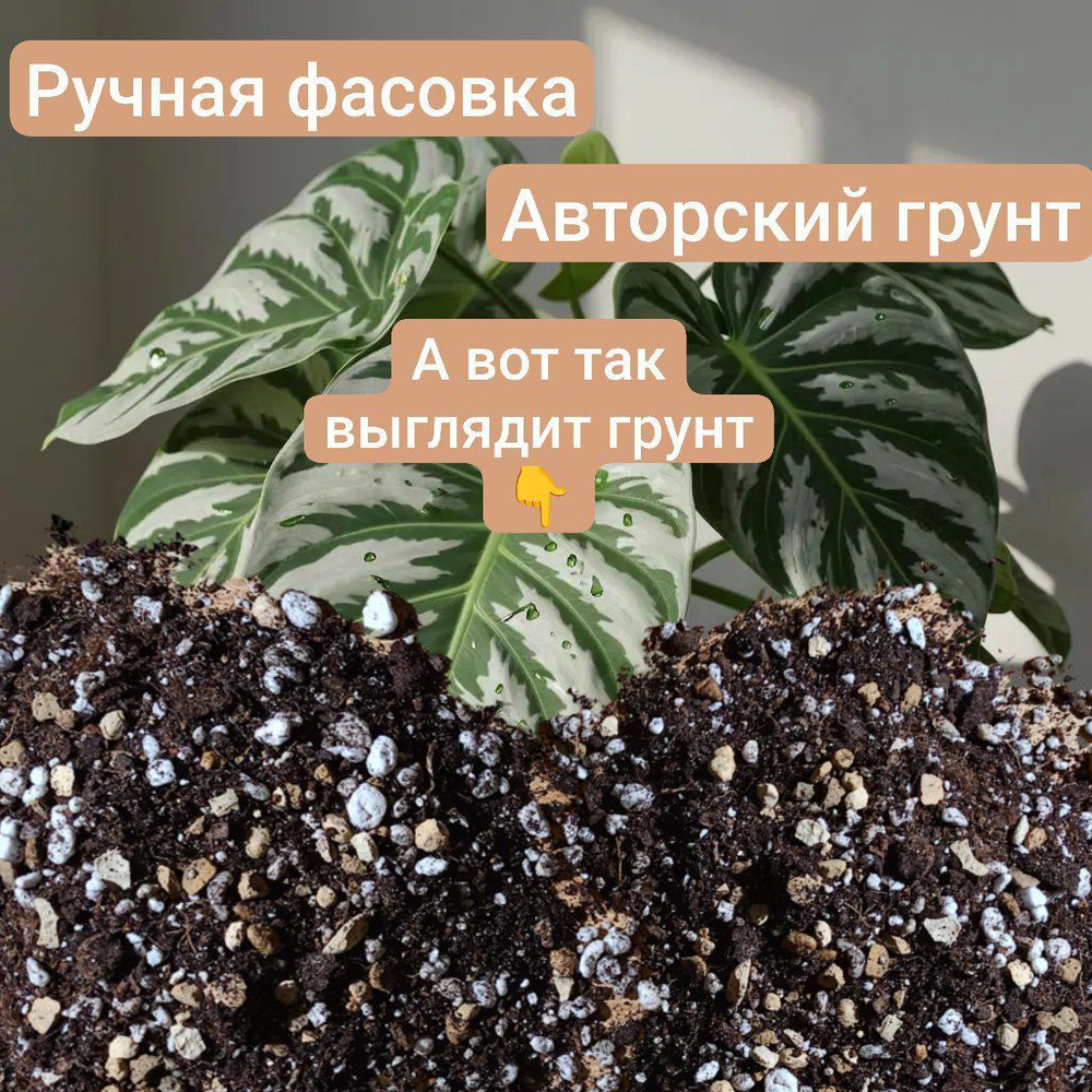 Авторский грунт для Аллоказий 2 литра