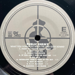 Public Enemy ‎– What You Gonna Do When The Grid Goes Down? (Европа 2020г.)