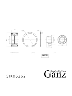 Подшипник ступицы передний для FIAT Sedici/SUZUKI SX4 (06-)/Vitara III (15-) GANZ GIK05262
