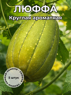 Люффа круглая ароматная семена 5 штук