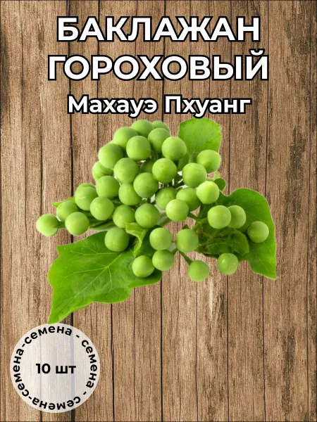 Баклажан гороховый Махауэ Пхуанг — семена, 10 шт.