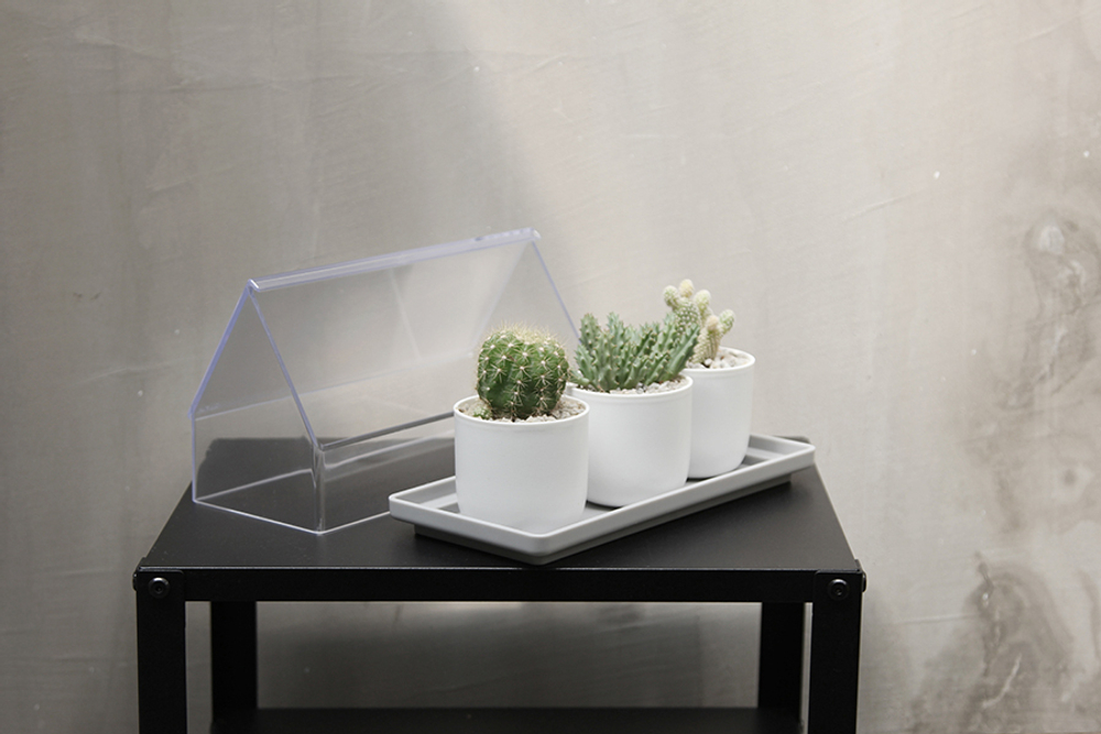 Лоток для выращивания растений micro green house, прозрачный