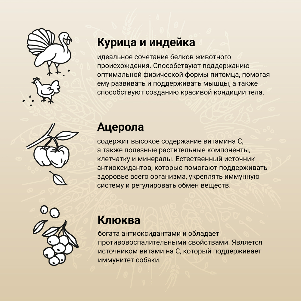 Сухой корм CRAFTIA NATURA для взрослых собак средних и крупных пород из курицы и индейки 2 кг