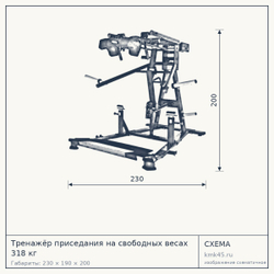 Тренажёр приседания на свободных весах 318 кг — от 317 000 ₽