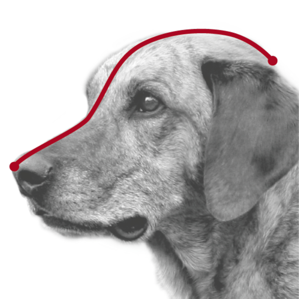 Намордник, размер М (23.5 см), пластик, Trixie