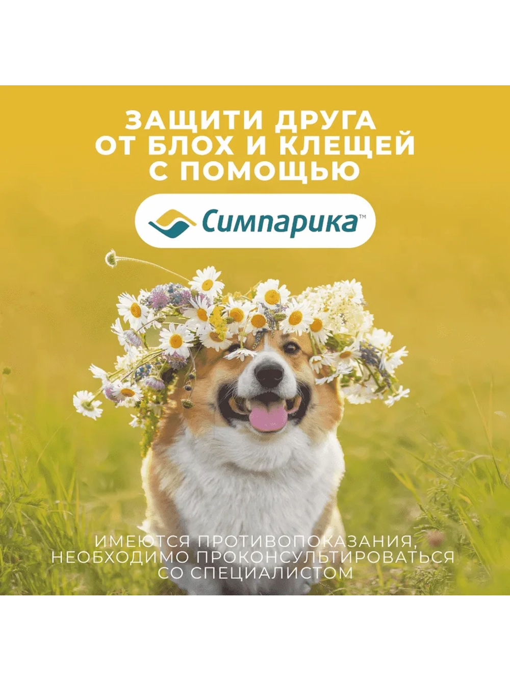 Симпарика, таблетки для собак весом от 10-20кг, 3 таб.