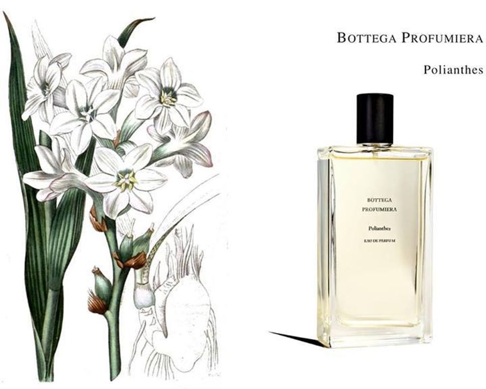 Bottega Profumiera Galantuomo