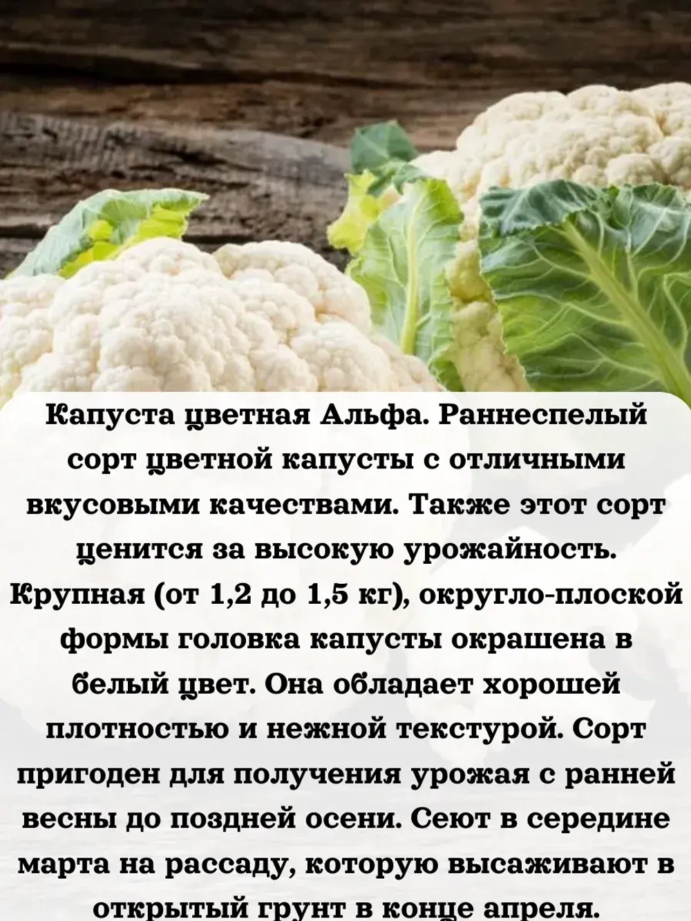 Семена Капуста набор микс 8 шт