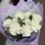 Букет белых диантусов – фото букета, с доставкой по городу Южно-Сахалинску в магазине цветов FloArt